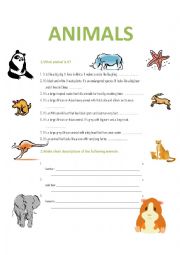 English worksheet: WILD ANIMALS