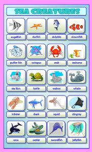 English Worksheet: Sea Creatures