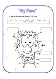 English Worksheet: Parts of the Face