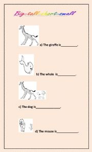 English worksheet: Animals quiz