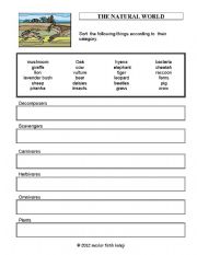 English worksheet: Animal Feeding