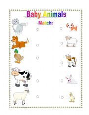 Baby Animals