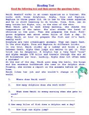 English Worksheet: Dolphins