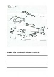 English Worksheet: parts of sea creatures