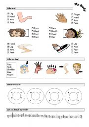 English Worksheet: body parts