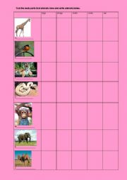 English worksheet: animals& has got& body parts