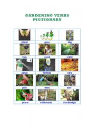 English Worksheet: GARDENING VERBS PICTIONARY