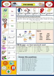 English Worksheet: Body : Our Five Senses