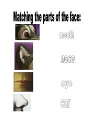 English Worksheet: parts of the face