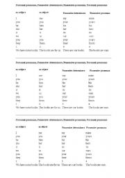 English Worksheet: possession 