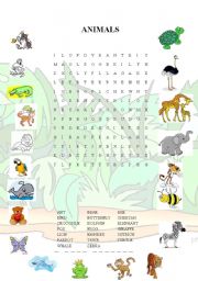 English Worksheet: Animals