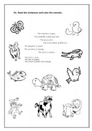 English Worksheet: Animals and Colours