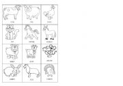 English Worksheet: Farm animals