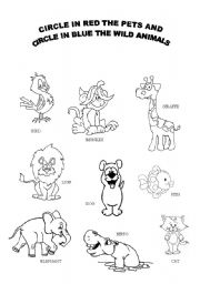 English Worksheet: Wild animals and Pets