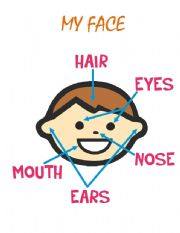 English worksheet: My Face