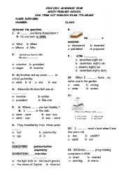 English Worksheet: A Test On Simple Past