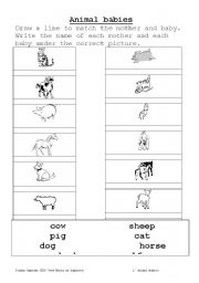 English worksheet: Mother and baby animals