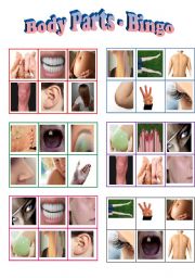 English Worksheet: Body Parts Bingo - 24 different cards WITHOUT body parts names