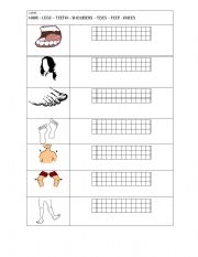 English Worksheet: Body