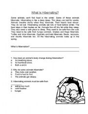 English Worksheet: Hibernation