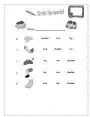 Parts of the boby