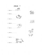 English worksheet: ANIMALS