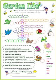 English Worksheet: Some animals live in my garden crossword (2 versions)