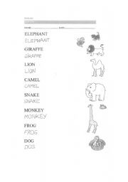 English worksheet: Dear zoo