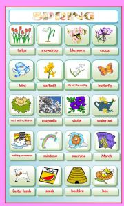 English Worksheet: *** Spring ***