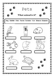 English Worksheet: Pets (2 pages)