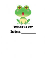 English Worksheet: What is it? It is a frog! No? It is a butterfly!