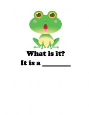 English worksheet: What is it? It is a frog! No? It is a butterfly!