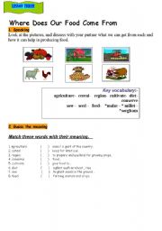 English worksheet: food