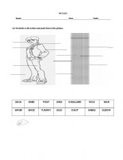 English Worksheet: MY BODY