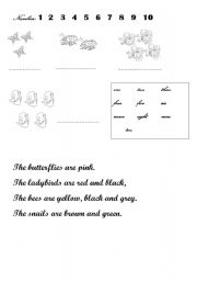 English Worksheet: Little Bugs 