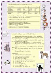 English Worksheet: have got /has got 2