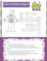 Internal Body Organs Cross word