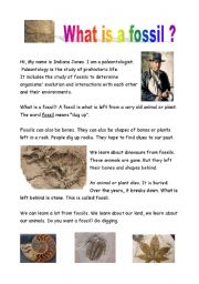 English Worksheet: Fossils