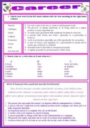 English Worksheet: Career