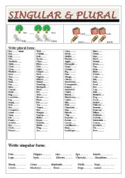 English Worksheet: Singular and Plural