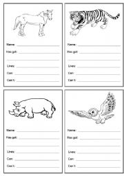 English Worksheet: Animal cards