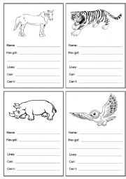 Animal cards