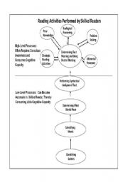 English Worksheet: reading activity