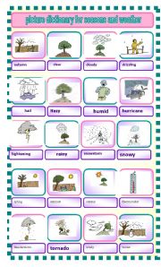 English Worksheet: picture dictionary for seasons and weather