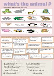 English Worksheet: whats the animal?