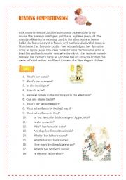 English Worksheet: READING COMPREHENSION