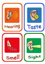 English Worksheet: 5 senses and body parts flashcards