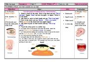 English Worksheet: lesson plan