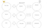 English Worksheet: colors