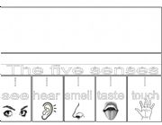 English Worksheet: flip flap five senses